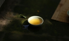 倚邦普洱茶，六山之巅，香名远播