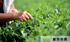 �ն������ˮ������������������������ɹζ