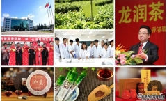 龙润普洱茶旗舰店